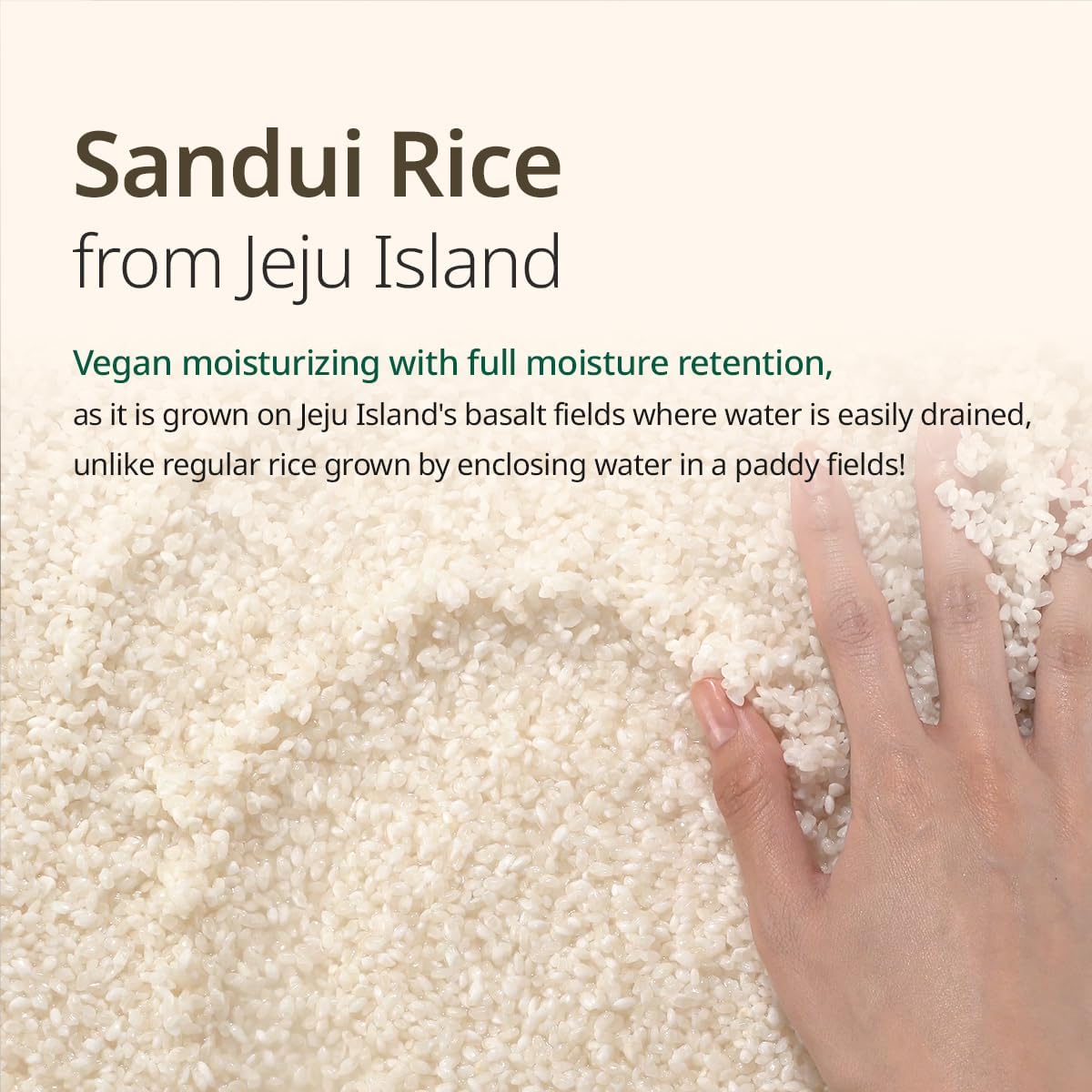 Vegan Rice Milk MOISTURIZING Toner (150Ml, 5.07, Fl Oz)